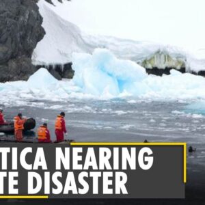 Climate Crisis: Antartica logs highest temperature on record | Global Warming |  Climate Change News