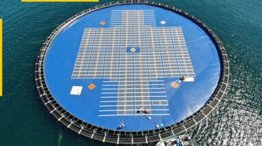 Can floating solar farms solve the energy crisis?