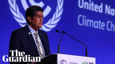 Cop26: 'You might as well bomb us,' says president of Palau
