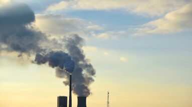 Fossil fuel industry has largest delegation of 503 people at COP 26