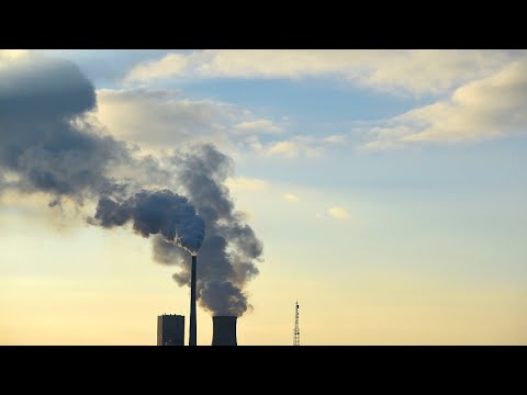 Fossil fuel industry has largest delegation of 503 people at COP 26