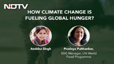 How Is Climate Change Imacting Our Food Systems?