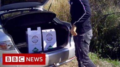 canisters of HFCs being loaded into a car boot to be smuggled into UK