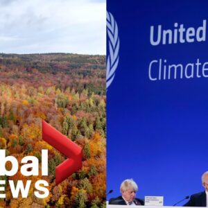 COP26: Canada joins more than 100 countries vowing to end deforestation by 2030