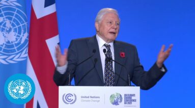 David Attenborough, People's Advocate for COP26, Address to World Leaders | Climate Action