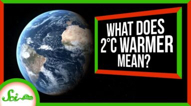 What Will the World Look Like, 2°C Warmer?