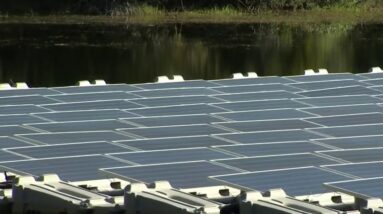 solar panels which are vital to the Orlando solar pledge towards businesses using only solar energy by 2030