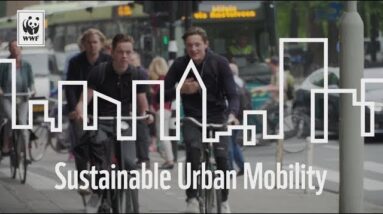 cyclists in streets of Paris which is introducing sustainable transport systems to improve air quality